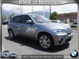 2012 Space Gray Metallic BMW X5 xDrive50i #66207835