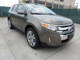 2013 Mineral Gray Metallic Ford Edge Limited EcoBoost #66207804