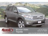 2012 Cypress Green Pearl Toyota Highlander Limited 4WD #66207348