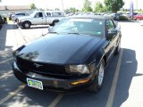 2006 Black Ford Mustang V6 Premium Convertible #66208132