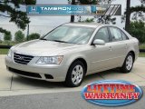 2010 Hyundai Sonata GLS