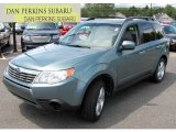 2009 Sage Green Metallic Subaru Forester 2.5 X Premium #66337292