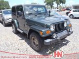 2003 Shale Green Metallic Jeep Wrangler Sahara 4x4 #66337169