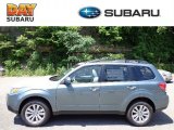 2012 Sage Green Metallic Subaru Forester 2.5 X Premium #66337631