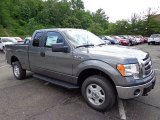 2012 Sterling Gray Metallic Ford F150 XLT SuperCab 4x4 #66410037