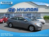 2013 Harbor Gray Metallic Hyundai Sonata GLS #66410013