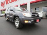 2005 Galactic Gray Mica Toyota 4Runner Limited #66409995