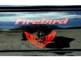 2002 Pontiac Firebird Coupe Marks and Logos