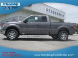 2012 Sterling Gray Metallic Ford F150 XLT SuperCab 4x4 #66556690