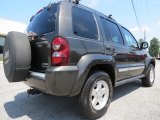 Dark Khaki Pearl Jeep Liberty in 2006
