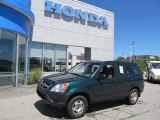 2003 Clover Green Pearl Honda CR-V LX 4WD #66615655