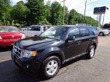 2011 Ford Escape XLT 4WD