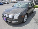 2006 Charcoal Beige Metallic Ford Fusion SEL V6 #66736611