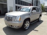 2009 Cadillac Escalade 