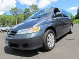 2003 Sage Brush Pearl Honda Odyssey EX-L #66820889