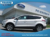 2013 White Platinum Metallic Tri-Coat Ford Escape SEL 2.0L EcoBoost 4WD #66820265