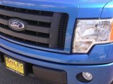 2009 Blue Flame Metallic Ford F150 STX SuperCab #6640354