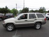 Light Pewter Metallic Jeep Grand Cherokee in 2004