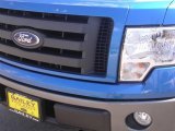 2009 Blue Flame Metallic Ford F150 FX4 SuperCrew 4x4 #6640351