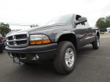 2004 Graphite Metallic Dodge Dakota Sport Club Cab 4x4 #66820843