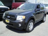 2008 Black Ford Escape Limited #6562266