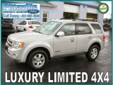 2008 Light Sage Metallic Ford Escape Limited 4WD #6566744