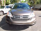 2010 Urban Titanium Metallic Honda CR-V LX #66820126