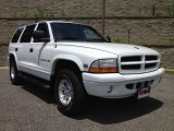 1999 Bright White Dodge Durango SLT 4x4 #66820685