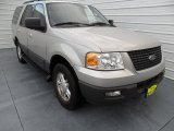 2005 Silver Birch Metallic Ford Expedition XLT #66820393