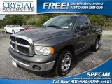 2004 Graphite Metallic Dodge Ram 1500 ST Regular Cab #66820628