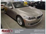 2012 Cashmere Silver Metallic BMW 5 Series 535i Sedan #66882473