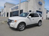 2010 White Suede Ford Escape Limited 4WD #67012155