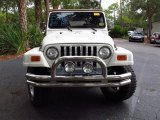 2002 Stone White Jeep Wrangler Sahara 4x4 #67073664