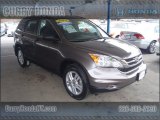 2010 Polished Metal Metallic Honda CR-V EX AWD #67147404