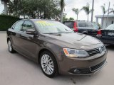 Toffee Brown Metallic Volkswagen Jetta in 2011