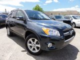 2009 Black Forest Pearl Toyota RAV4 Limited 4WD #67146916