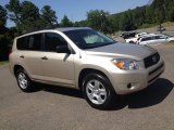 2007 Savannah Metallic Toyota RAV4 4WD #67213141