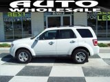 2010 White Suede Ford Escape XLT #67271173