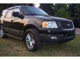 2005 Black Clearcoat Ford Expedition XLT 4x4 #67340931