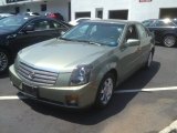 2004 Silver Green Cadillac CTS Sedan #67340881