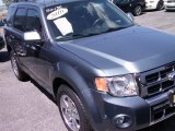 2010 Sterling Grey Metallic Ford Escape Limited V6 4WD #67340220