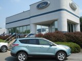 2013 Frosted Glass Metallic Ford Escape SE 1.6L EcoBoost #67340165