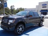 2012 Ford F150 Harley-Davidson SuperCrew 4x4