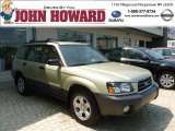 2004 Sierra Gold Metallic Subaru Forester 2.5 X #67340650