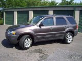 2006 Dark Shadow Grey Metallic Ford Escape XLT V6 4WD #67402199