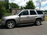 2003 Dark Gray Metallic Chevrolet TrailBlazer LT 4x4 #67429875