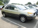 2002 Light Driftwood Buick Rendezvous CXL AWD #67494591