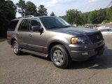 Dark Stone Metallic Ford Expedition in 2005