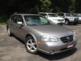 2001 Sterling Mist Metallic Nissan Maxima GLE #67494379