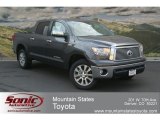 2012 Magnetic Gray Metallic Toyota Tundra Platinum CrewMax 4x4 #67493493